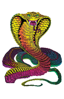 Тотем Змеи. Обретение качеств змеи через медитацию 38017308